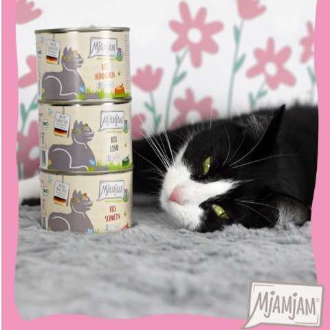 5折起 猫咪罐头仅€1.2德亚春促：MjAMjAM 猫咪零食打折啦🐱铲屎官快来！