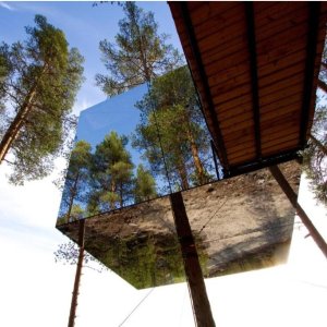 Starting At $65Unique Treehouse Experience for Families