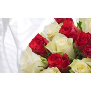 次日送达！Kokomo 玫瑰花束 30支