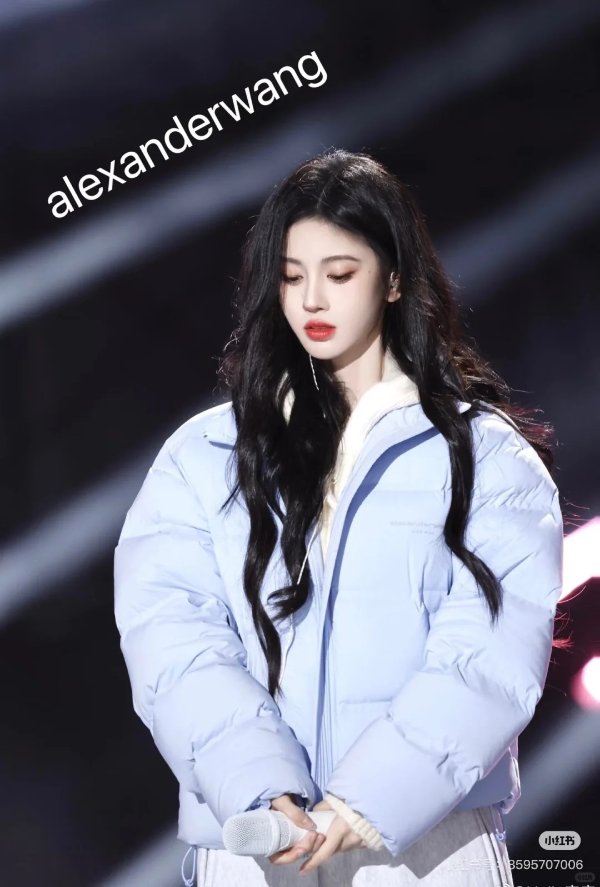 蓝色 Cropped Reflective Logo 羽绒夹克