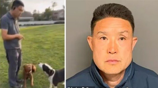 尔湾动物惨案!🐶华裔训狗师涉嫌虐狗,造成至少10只狗狗死亡,9只甚至是同日丧命