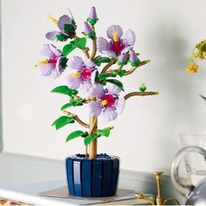 $69.99Coming Soon： LEGO Botanical Collection Hibiscus 10372