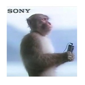 会员日狂欢价：Sony 音箱&耳机&降噪豆