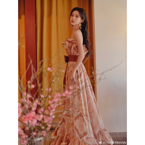 ZimmermannIlluminate Flounce Printed Gown