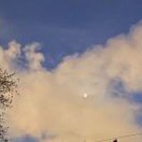 把你的虾夷扇贝给我