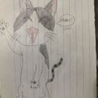 Eva勿扰稳定长期主义