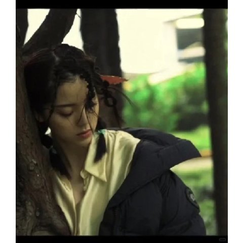 Canada GooseJunction Down Jacket