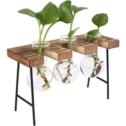 空气植物金属架 黑色