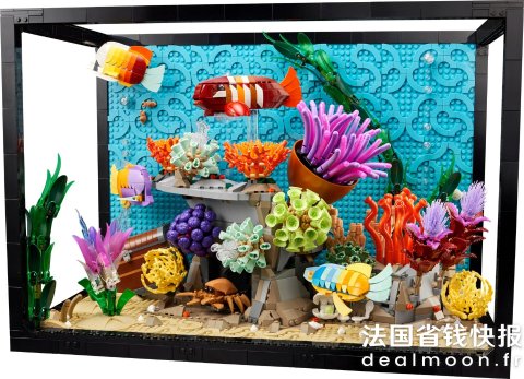 LegoL’aquarium tropical 鱼缸 透明