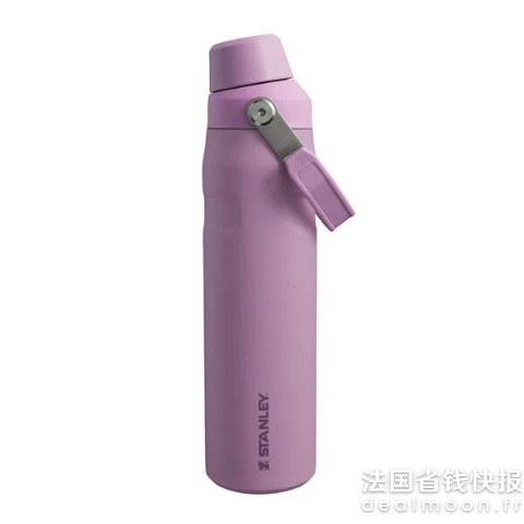Stanley谧境紫罗兰IceFlow 拎拎杯 0.6L