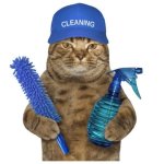 留子退租清洁必看！SPONTEX 清洁海绵€1.23收4块