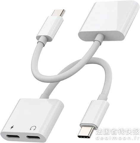 2 in 1 USB-C转接头 2只装