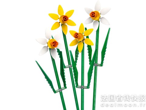 Lego水仙花