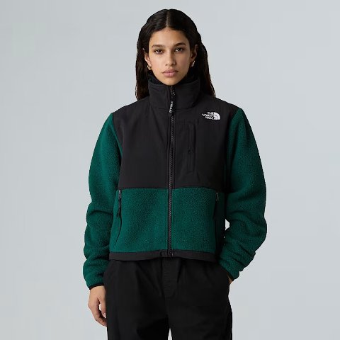 The North FaceRetro Denali 女士夹克