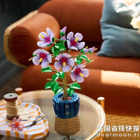 LegoHibiskus 干燥花 100g