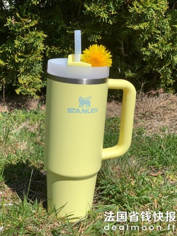 Stanley看了都会心情明媚@南西西N小鸡黄 保温杯 0.8L