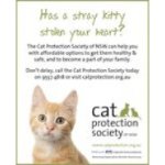 Cat Protection Society NSW 猫绝育疫苗芯片只要$100