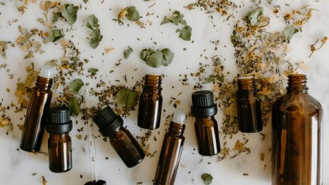 法国常见精油合集 - 功效用法、常见品牌，精油如何使用？