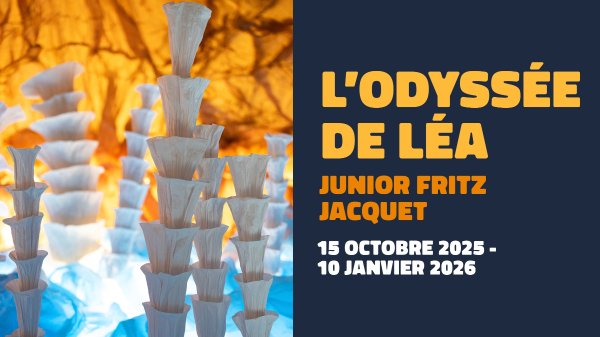 绝美折纸艺术展 Lea's Odyssey 免费开放！