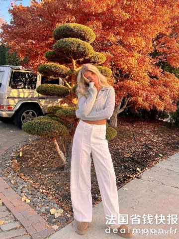 Fall Knit 羊毛针织拉链长袖上衣