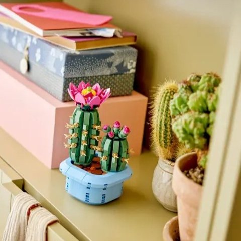 Lego2026/1/1上市11509 开花的仙人掌 | 花植系列