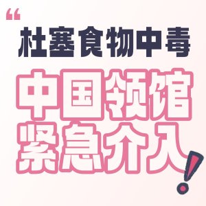 后续来啦！杜塞医疗展盒饭 上百人集体食物中毒