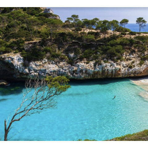 Ryanair 旅行登机箱 20寸