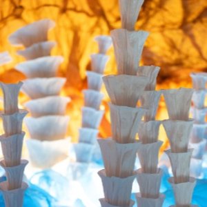 免费开放！内附预约通道