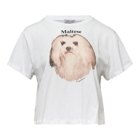 Ashley WilliamsMaltese Cropped T-Shirt White