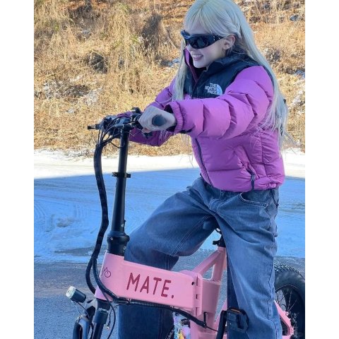 The North FaceNuptse Retro Puffer Jacket Women’s KFC262