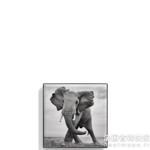 Chantecaille这个巨难抢！！！！大象单色眼影