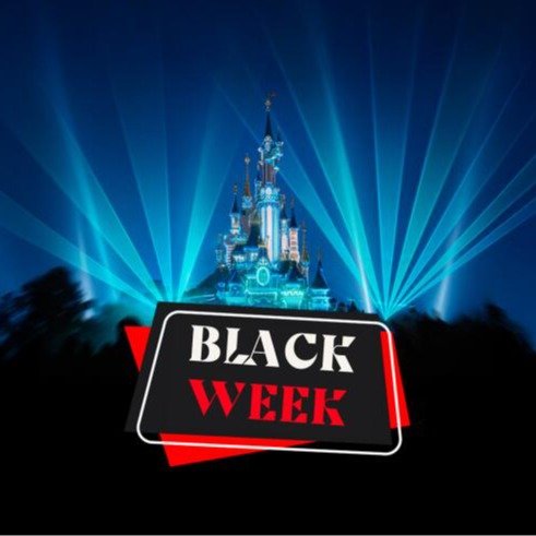 Disneyland 私人定制体验