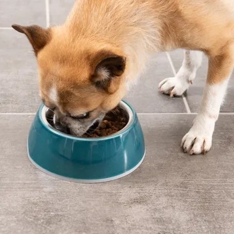 防滑宠物碗 蓝色