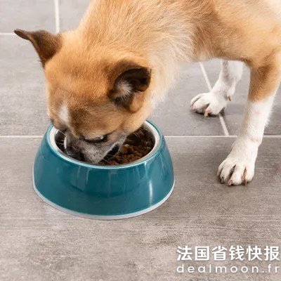 Dealmoon防滑宠物碗 蓝色