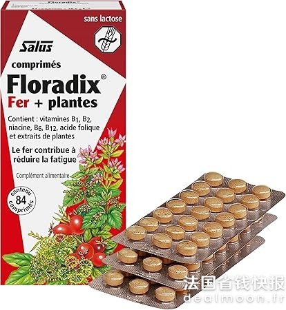 Salus4件额外95折！Salus Floradix 补血铁元 84片
