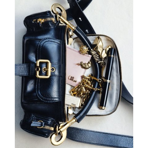 ChloeCamera Zipped Small Shoulder Bag