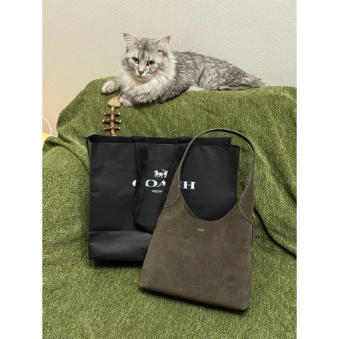 Coach橄榄绿 很高级Brooklyn 单肩包 28号