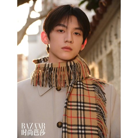 格纹羊绒围巾 赖伟明同款