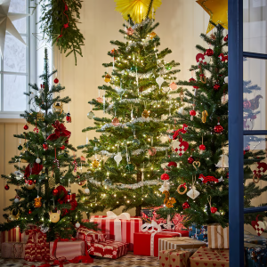 5欧抱走一棵大树！