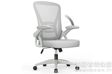 2.5折捡漏！人体工学椅