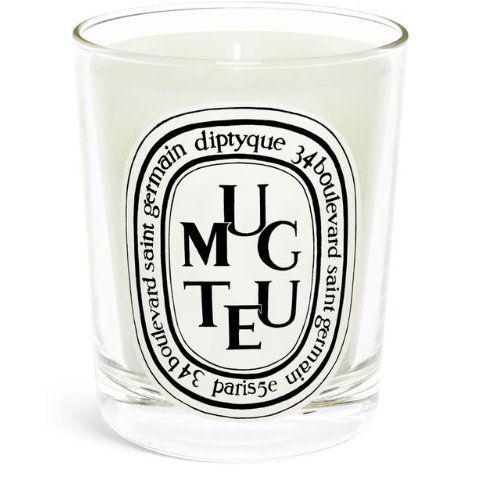 DiptyqueMuguet 经典香薰蜡烛 190g