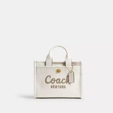 CoachCargo Tote Bag 20L