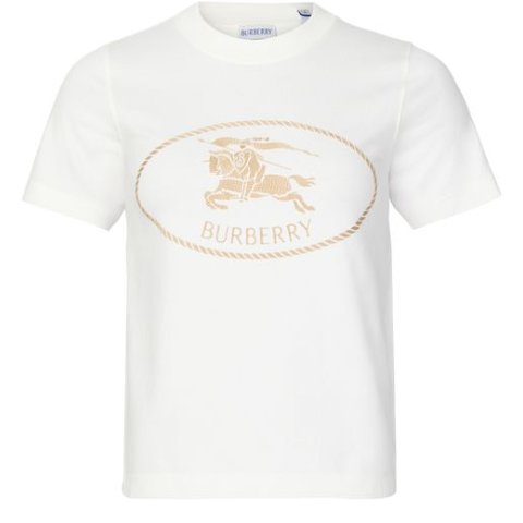 BurberryLogo 休闲T恤
