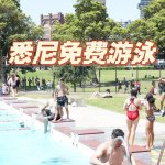 悉尼 年度限定福利 免费游泳🏊‍♀️六大泳池等你去嗨