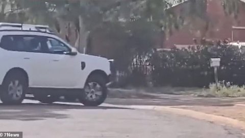 痛心！南澳39岁女子被自家宠物狗咬死，急救无力回天