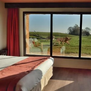 €28.6/人/晚！12-1月可订