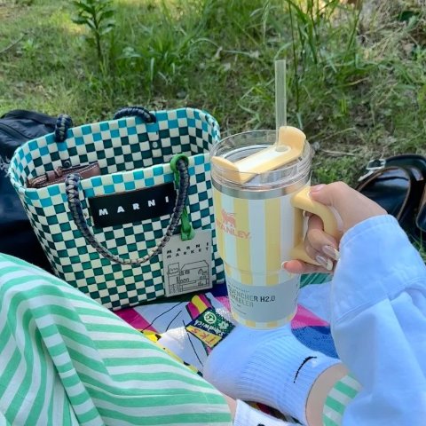 Stanley星星人配色~THE QUENCHER 吸管杯 880ml