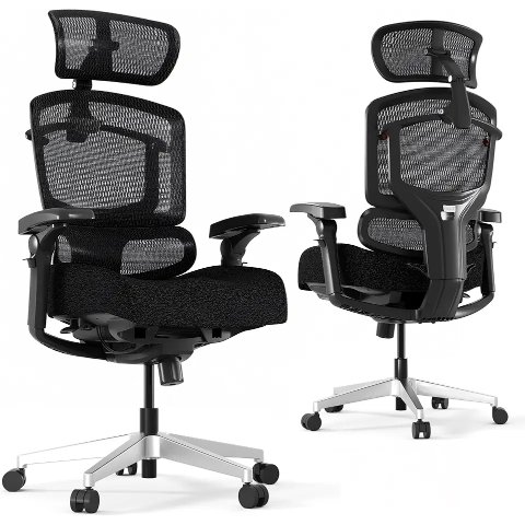 FLEXISPOT ErgoX Pro 办公椅 黑色