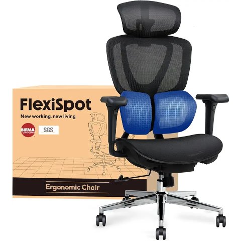 FLEXISPOT 办公椅 双翼腰靠 黑色