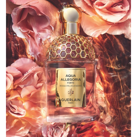 蔷薇之木香水 125ml